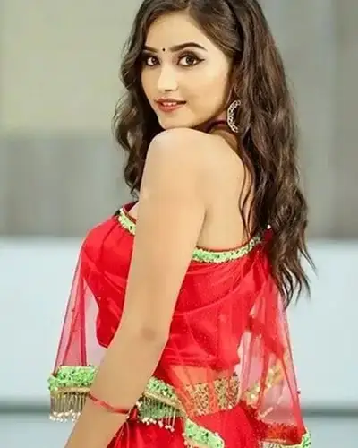 Call Girls Service Dhandhuka